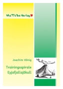 Trainingsspirale Eyjafjallaj�kull