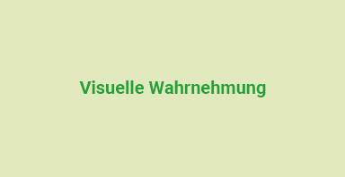 Visuelle Wahrnehmung