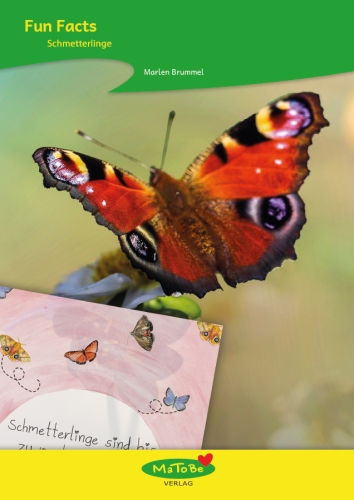 Marlen Brummel: Fun Facts - Schmetterlinge