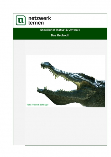 Netzwerk Lernen: Steckbrief Natur & Umwelt - Das Krokodil