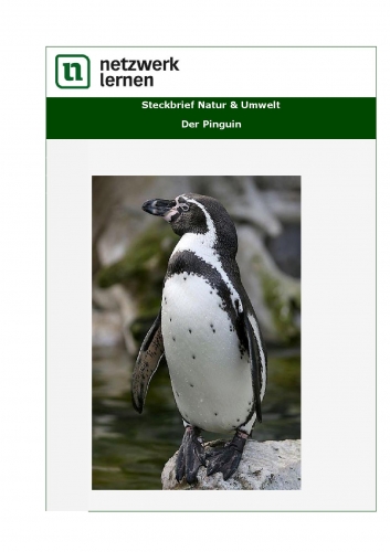 Netzwerk Lernen: Steckbrief Natur & Umwelt - Der Pinguin