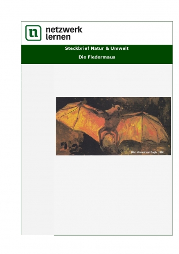Netzwerk Lernen: Steckbrief Natur & Umwelt - Die Fledermaus