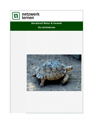 Netzwerk Lernen: Steckbrief Natur & Umwelt - Die Schildkröte