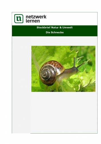 Netzwerk Lernen: Steckbrief Natur & Umwelt - Die Schnecke