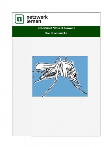 Netzwerk Lernen: Steckbrief Natur & Umwelt - Die Stechmücke