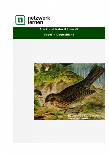 Netzwerk Lernen: Steckbrief Natur & Umwelt - Vögel in Deutschland