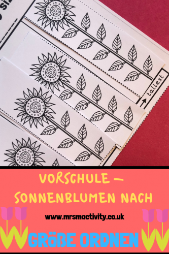 Mrs Mactivity: Vorschule - Sonnenblumen nach Größe ordnen