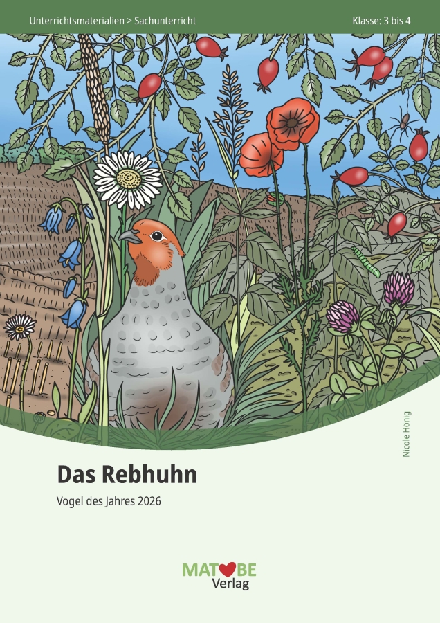 Nicole Hönig: Das Rebhuhn - Vogel des Jahres 2026